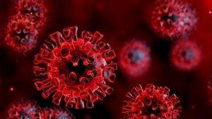 Covid-19 Virus